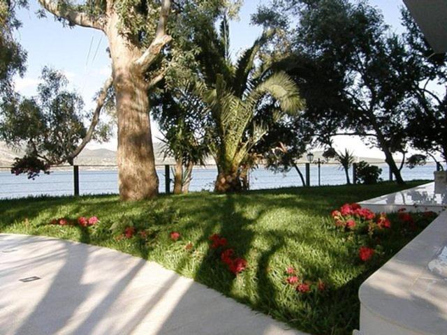 Tzeni Appartement Lygia (Lefkada)