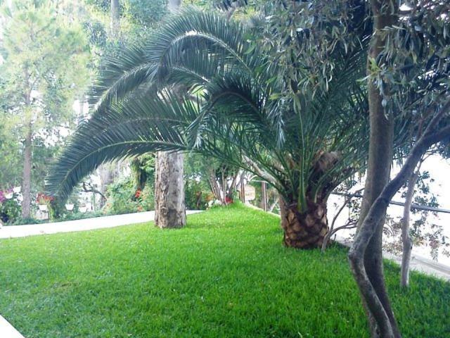 Appartement Tzeni