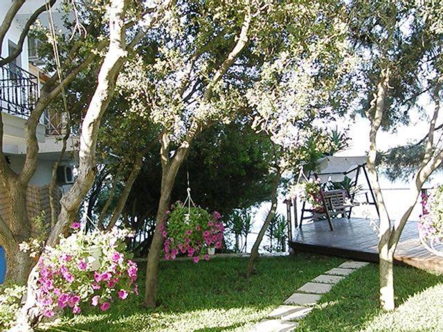 Appartement Tzeni